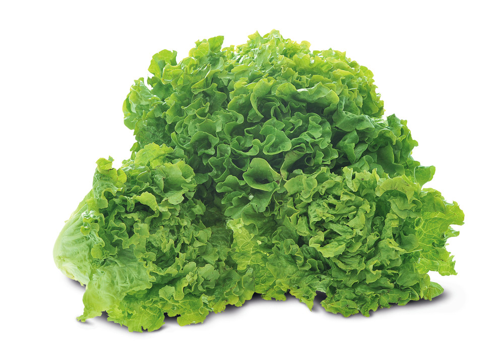 Insalata Gentile - Foto 1