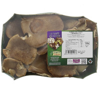 Funghi Pleurotus Cardoncello Funghi Pleurotus Cardoncello