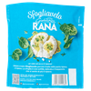 11043 SF.RIC/SPIN.RANA