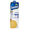 Bevanda A Base Di Succo Di Ananas Santal