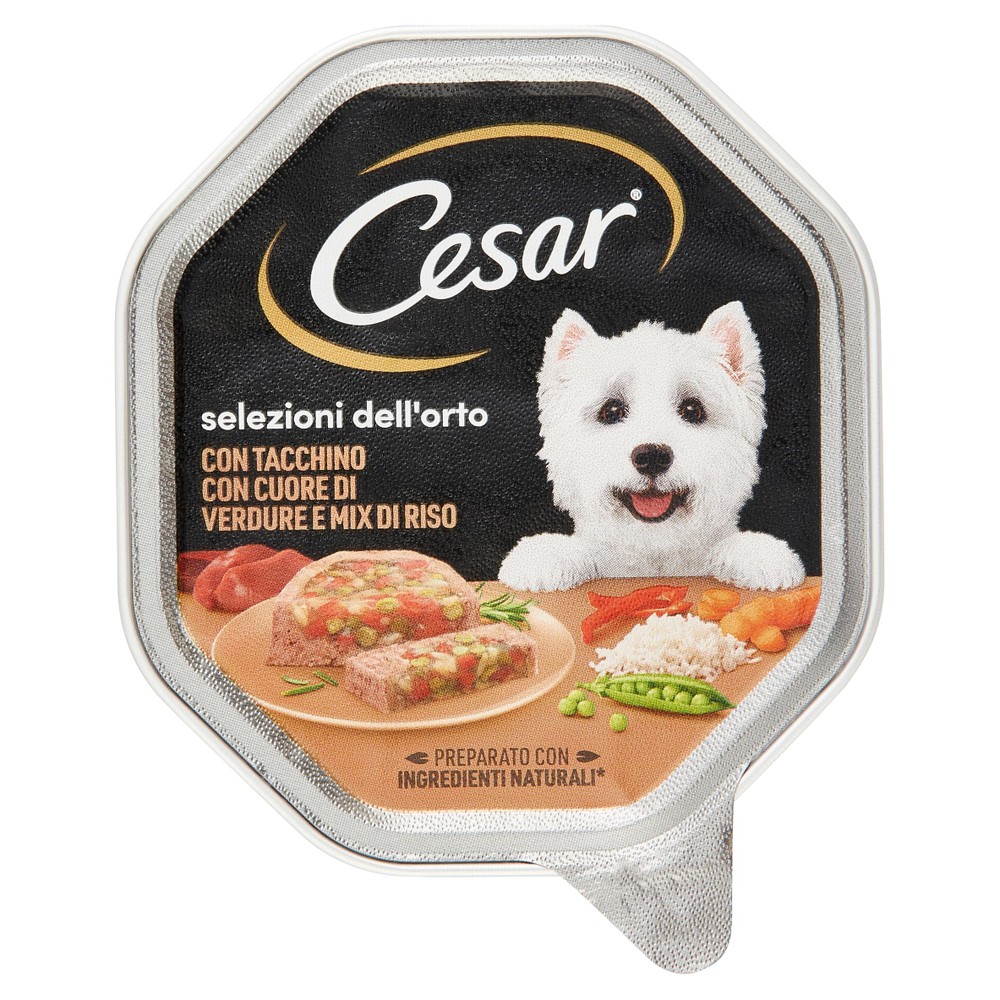 Cesar Vaschetta Cibo Umido Per Cani Adulti, Con Tacchino - Foto 1
