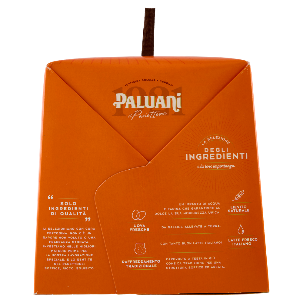 Panettone Paluani - Foto 2