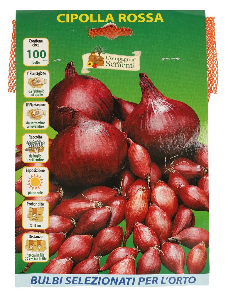 100 Bulbi Cipolla Rossa - Foto 1