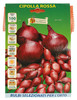 PRO 100BULB.CIPOL.ROSS - Foto 1 di 3