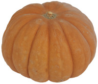 product.preview.arialabel Zucca Moscata In Microbins