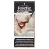 Colorazione Capelli Palette Metallic Collection Biondo Argentato
