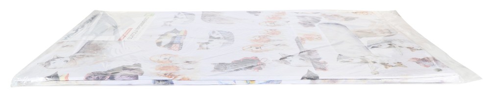 Scatola Per Indumenti Con Finestra Frontale E Laterale - Foto 2
