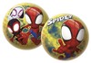 Pallone 23cm Spidey