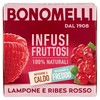 INF.LAMP/RIBES 12F BON - Foto 1 di 3