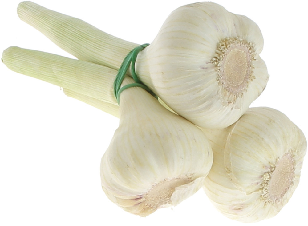 Aglio Fresco - Foto 1