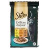 SHEBA DDJ TACCH POLX6 - Foto 1 di 3