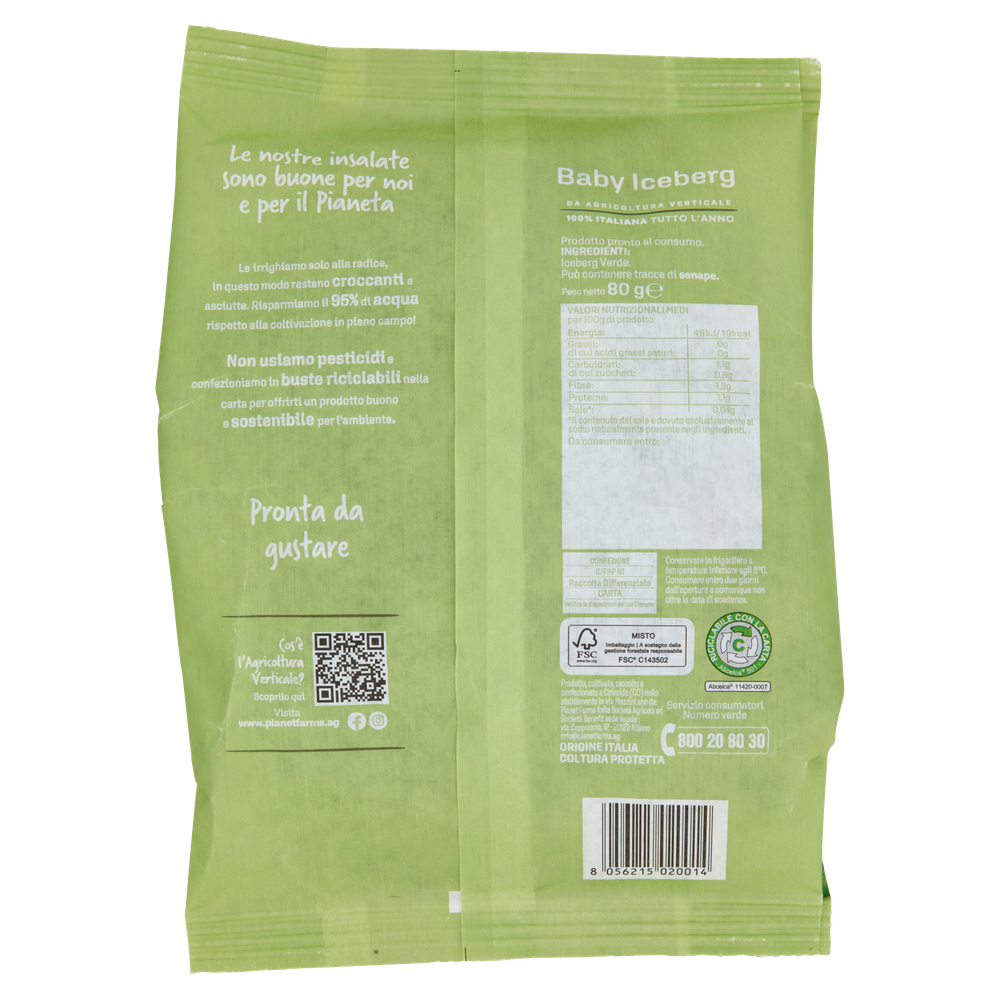 Baby Iceberg Busta - Foto 3