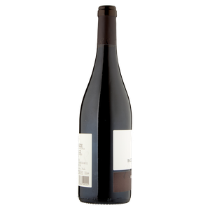 Vino Rosso Trevenezie Igt Baccichetto Refosco - Foto 2