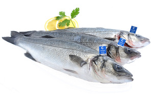 Branzino - Foto 1