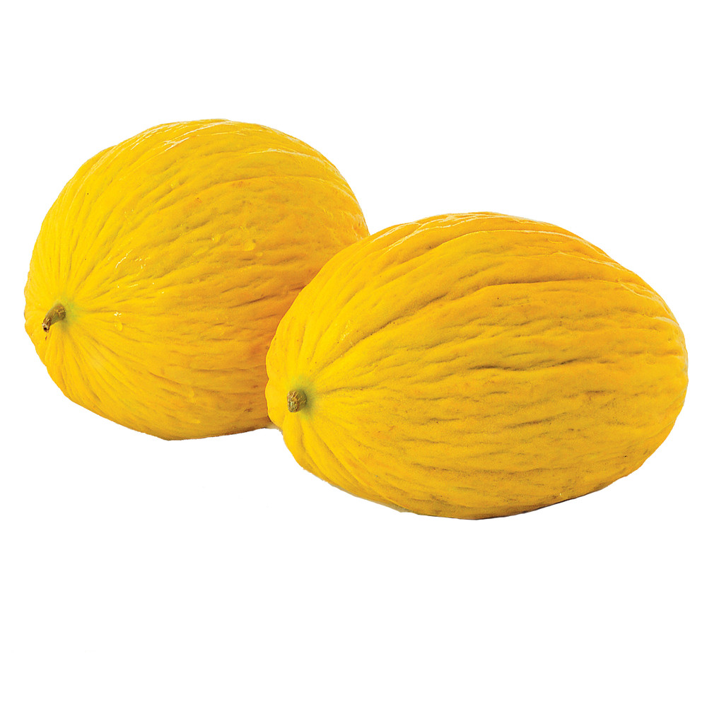 Melone Gialletto - Foto 1