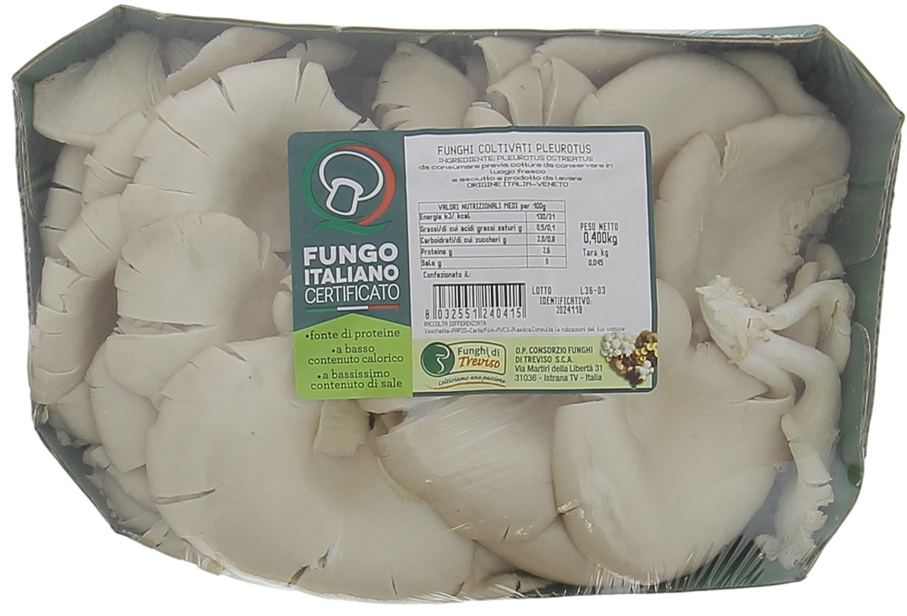 Funghi Pleurotus In Vassoio