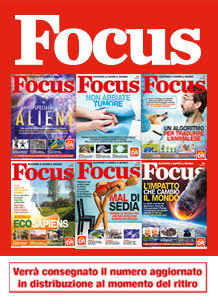 Focus - Foto 1