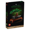 ALBERO BONSAI - Foto 1 di 2