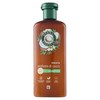 SHAMPO COCCO HERBAL - Foto 1 di 3