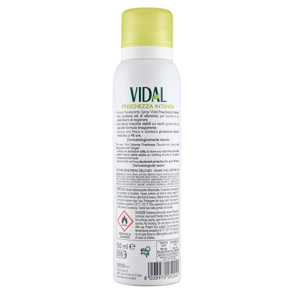 Deodorante Berg Zenzero Spray Vidal - Foto 3
