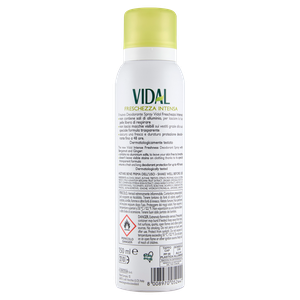 Deodorante Berg Zenzero Spray Vidal - Foto 3