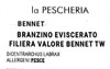 866*BRANZ.EVISC.FIL.TW - Foto 3 di 3