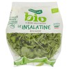 RUCOLA BIO BENNET G100 - Foto 1 di 3