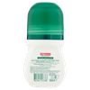 DEO BOROTAL.ORIG.ROLL - Foto 3 di 3