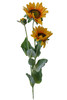 T2 STELO 3 GIRASOLI