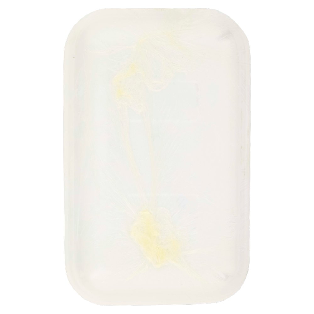 Datteri Deglet Nour - Foto 3