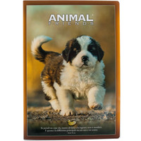 Quaderno Maxi Rigo 5mm Animal Friends Quaderno Maxi Rigo 5mm Animal Friends