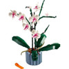 ORCHIDEA - Foto 2 di 2