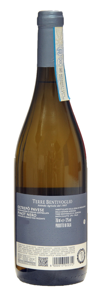 Pinot Nero Frizzante Terre Bentivoglio - Foto 2