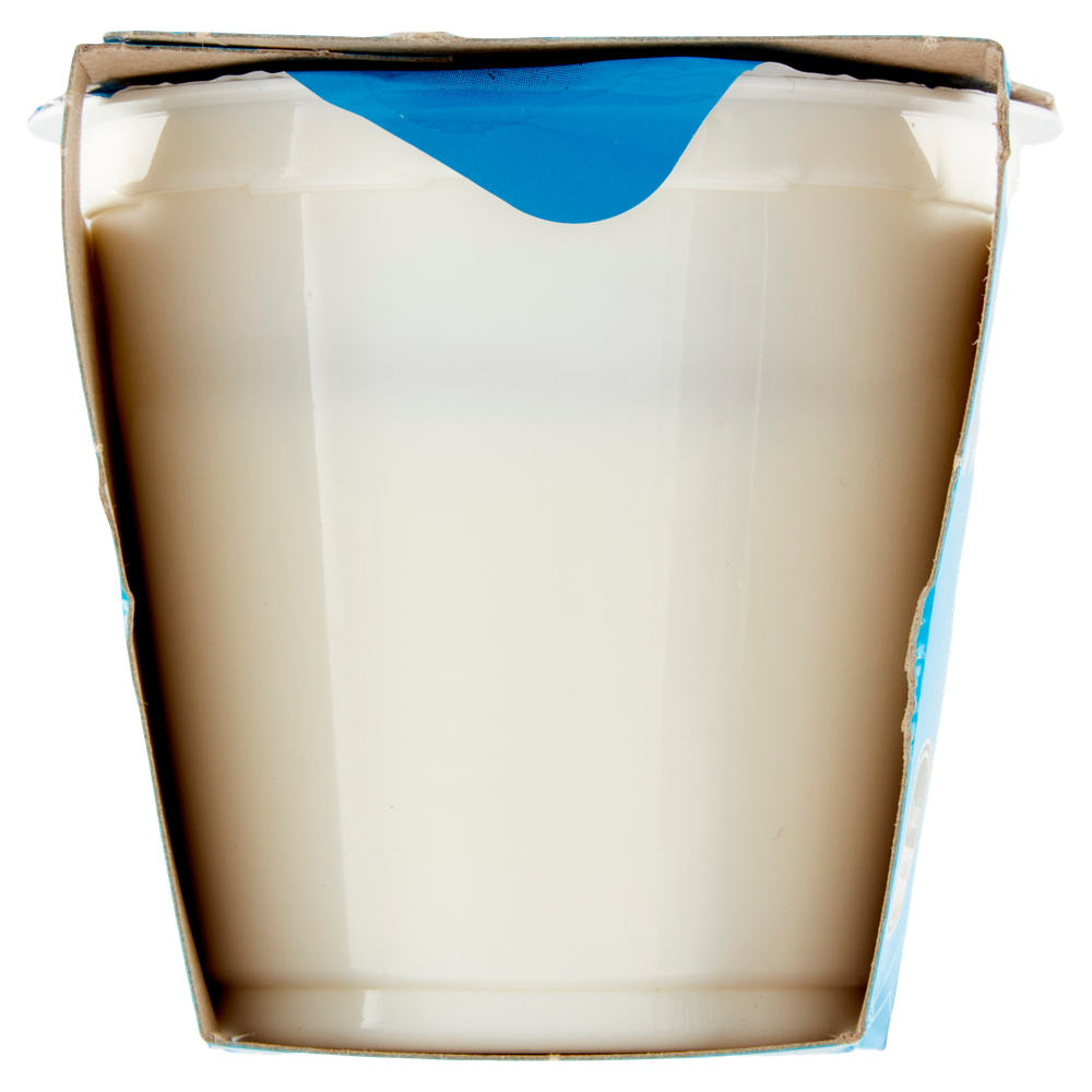 Yogurt Bianco Senza Lattosio Merano 2 Da Gr. 125 - Foto 2
