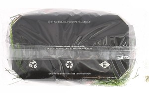 Agretti (barba Dei Frati) In Vaschetta - Foto 2