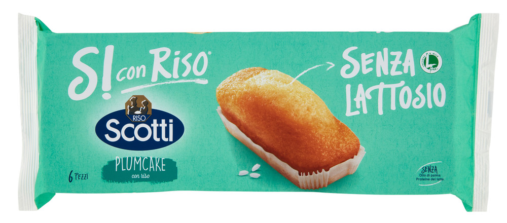 Plumcake Si' Con Riso Scotti Riso - Foto 1