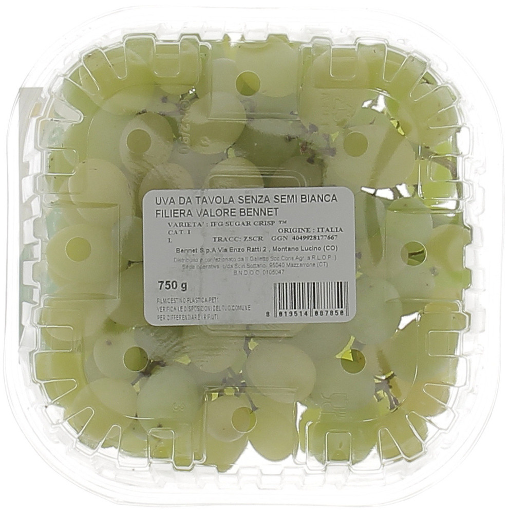 Uva Bianca Senza Semi Filiera Valore Bennet Varieta'ifg Sweet Globe - Foto 2