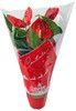 ANTHURIUM D12 BUST.NAT