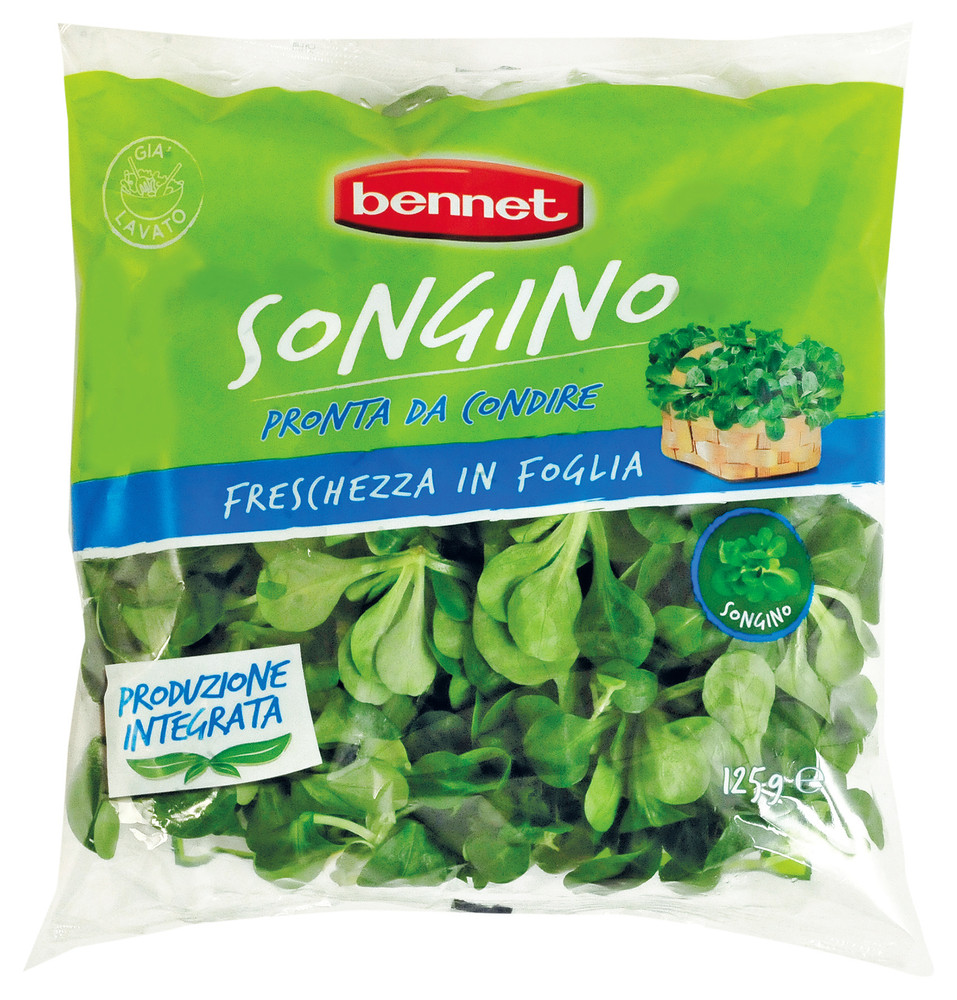 Songino Bennet In Busta