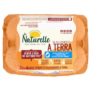 Uova Inovo Allevate A Terra Naturelle X6 - Foto 1