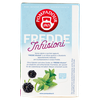 Infuso Con Frutti Di Bosco E Menta Fredde Infusioni Pompadour