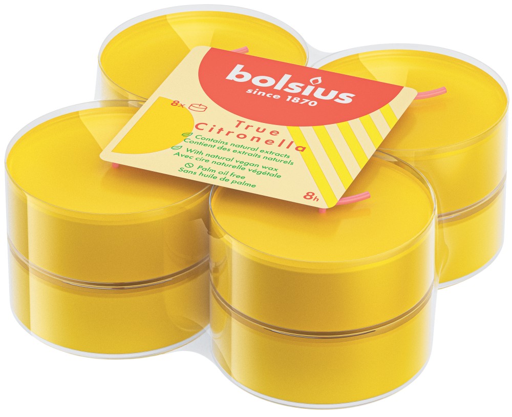 8 Maxi Citronella In Contenitore Trasparente - Foto 1