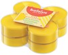 8 Maxi Citronella In Contenitore Trasparente