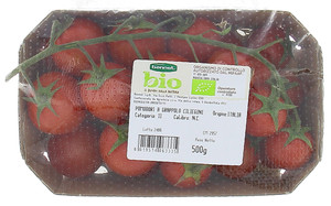 Pomodoro Ciliegino Bennet Bio Vaschetta - Foto 1