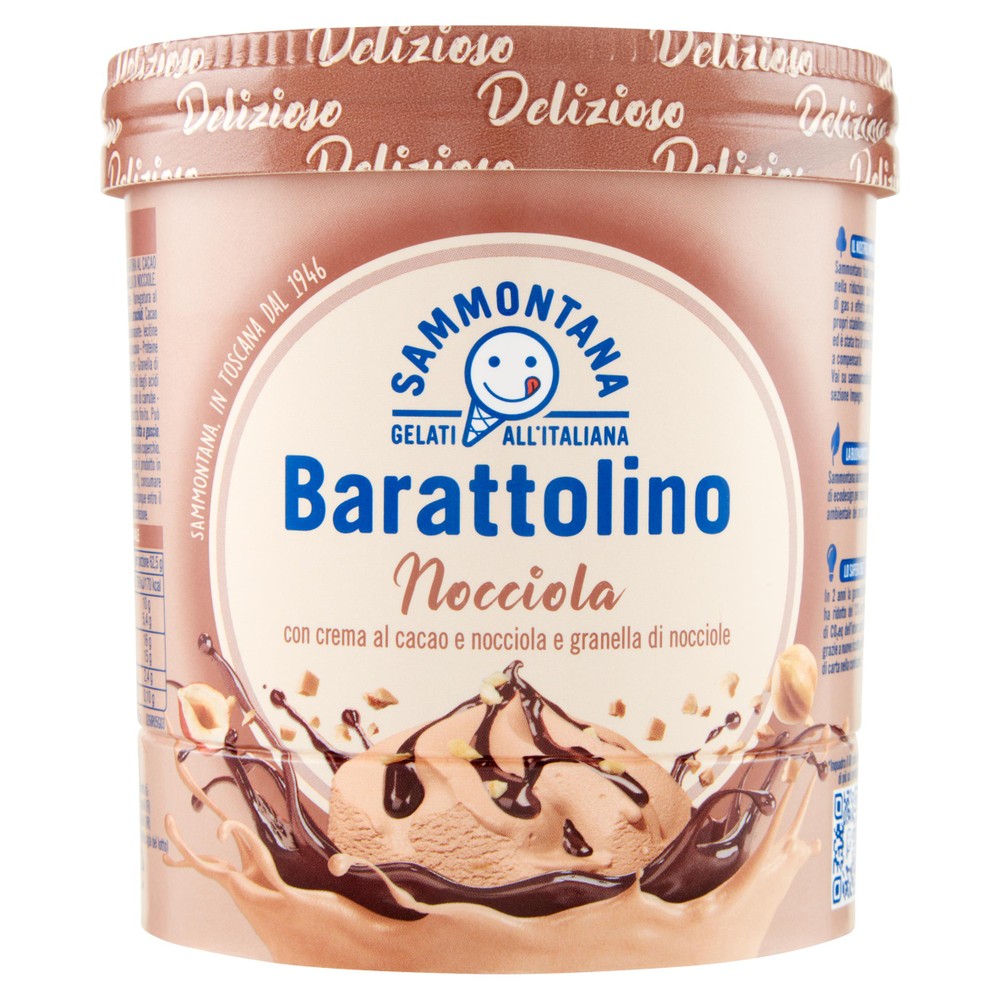 Barattolino Delizioso Nocciola Sammontana - Foto 1