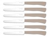 Set 6 Coltelli Tavola Daily Ghidini Colori Assortiti
