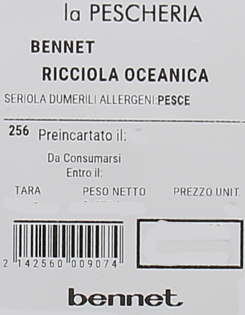 Ricciola Oceanica - Foto 2