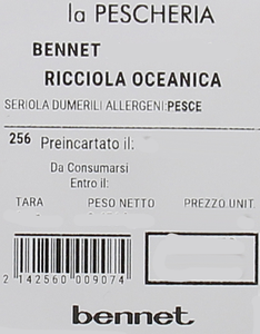 Ricciola Oceanica - Foto 2