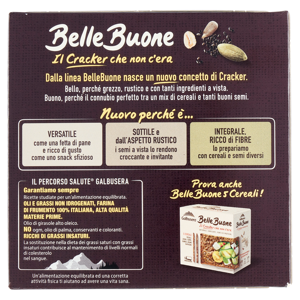 Cracker Avena Mix Semi Belle Buone Galbusera - Foto 3