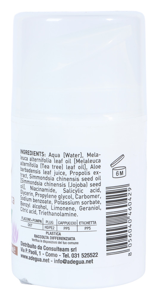 Adegua Detergente Aloe Tree - Foto 2